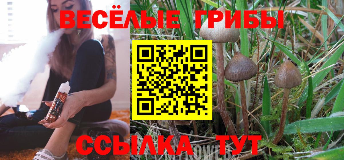 Псилоцибиновые грибы мухоморы  Галлюциногенные грибы мухоморы  Вход с VPN  Лосино-Петровский 