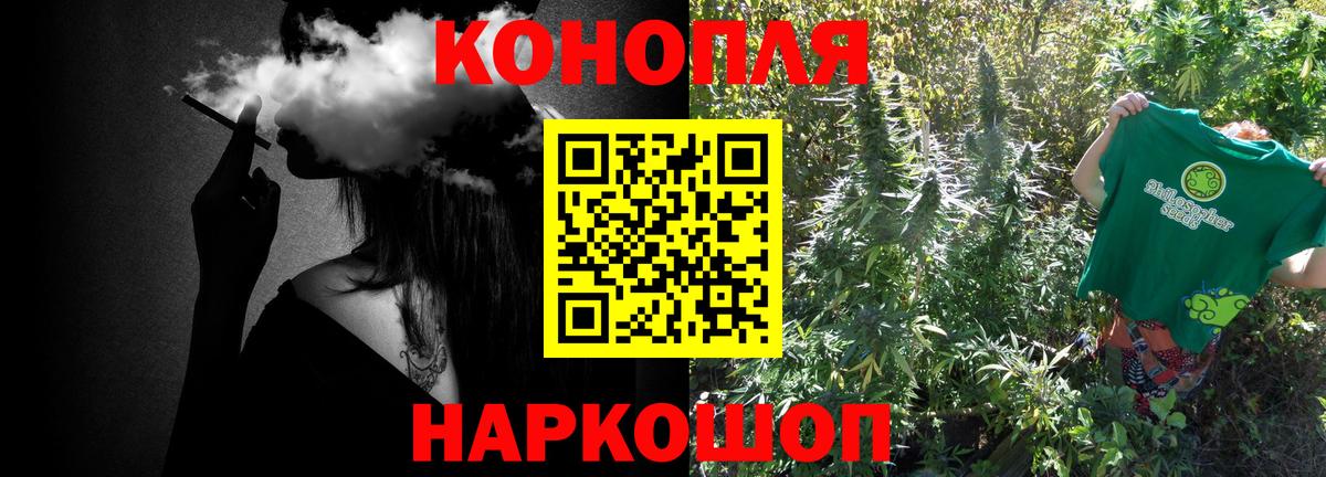 Бошки Шишки план Лосино-Петровский
